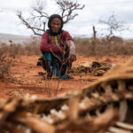 Ethiopia. Drought in Borenna, Oromia region of Ethiopia